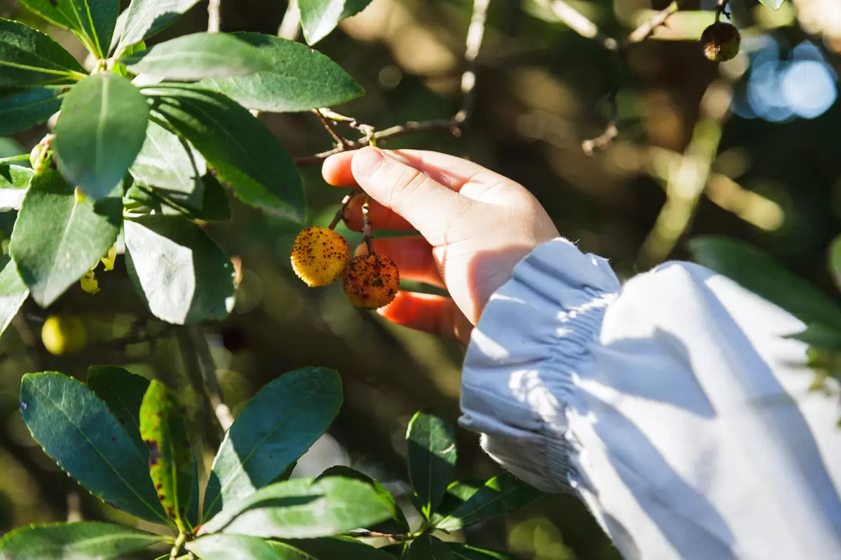 Crian&ccedil;as a aprender num ambiente natural