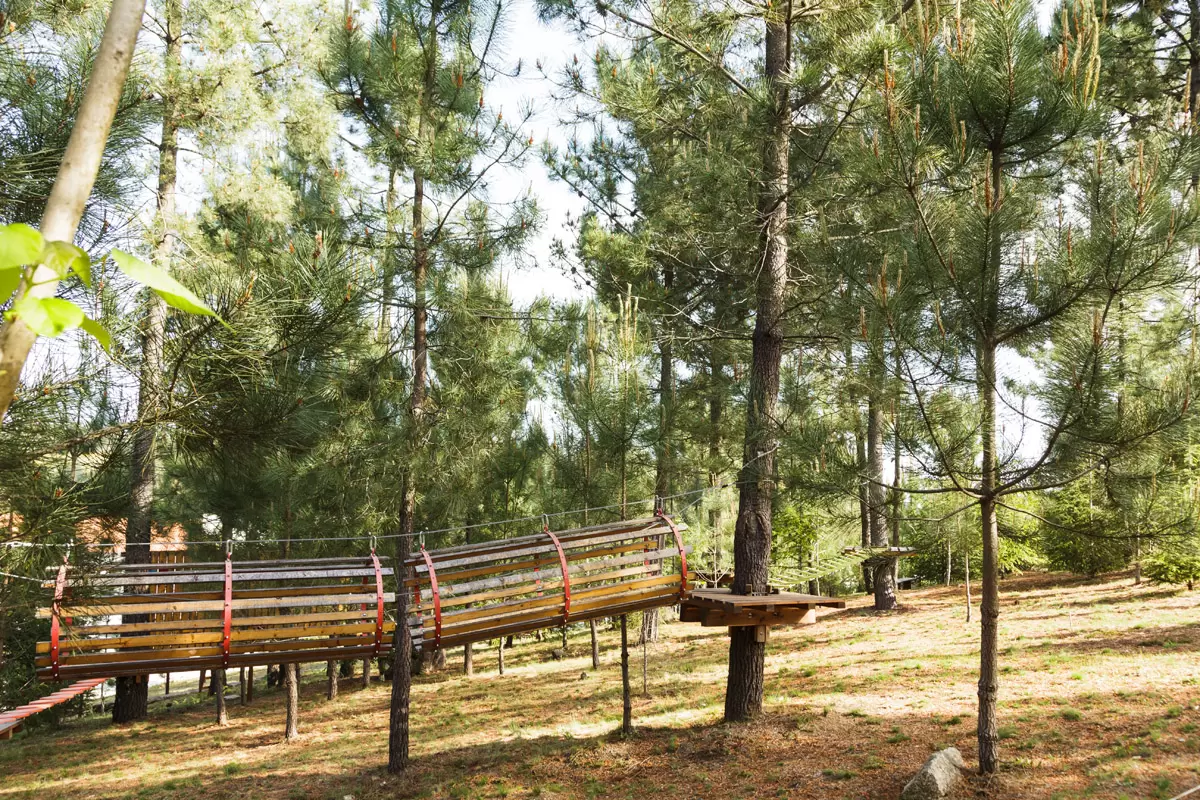 Crian&ccedil;as a aprender num ambiente natural