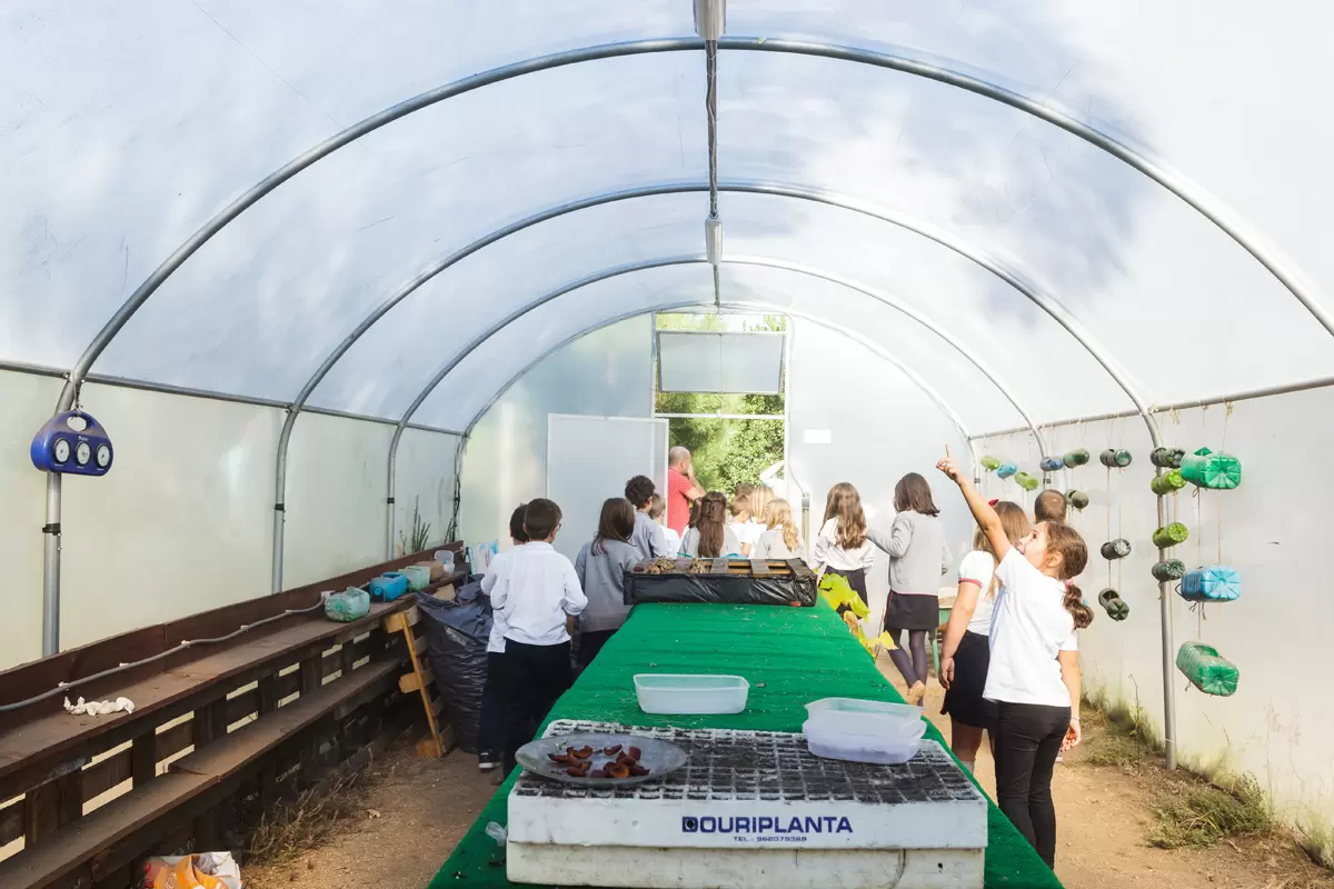 Crian&ccedil;as a aprender num ambiente natural