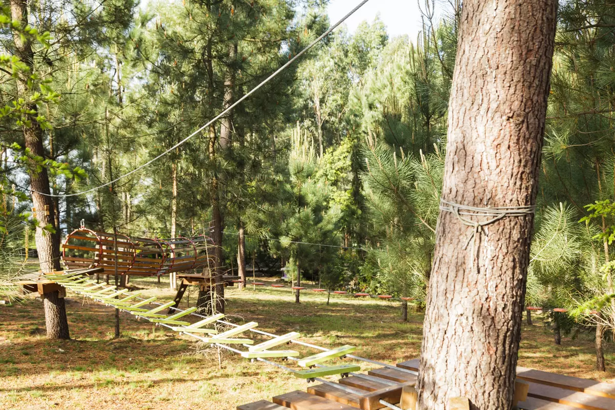 Crian&ccedil;as a aprender num ambiente natural