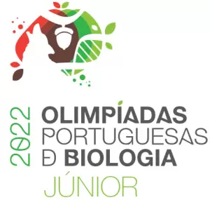 image de blog